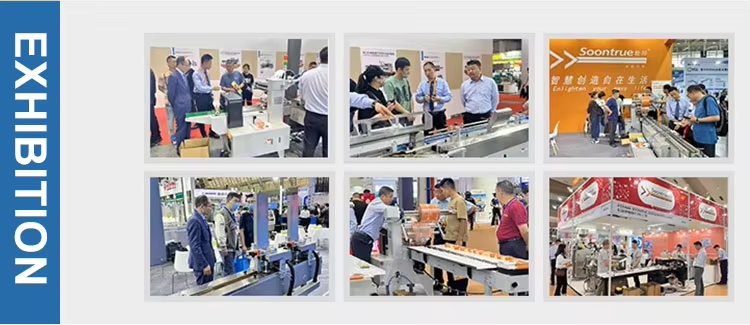 SZ-180 Automatic Horizontal Multi-Function Pillow Flow Pack Machine Detail 7