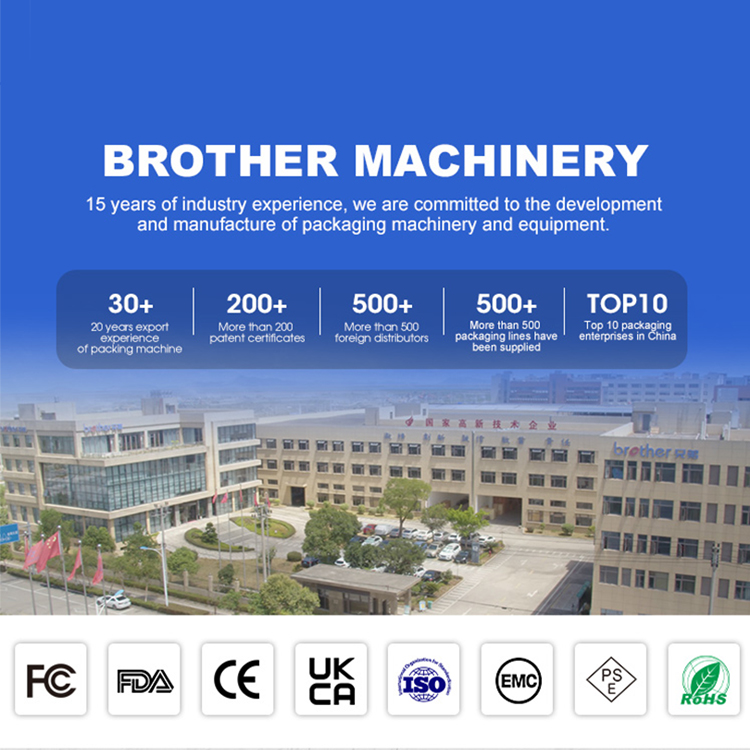 DXD600 Vertical Automatic Liquid Filling Sealing Vertical Packaging Machine