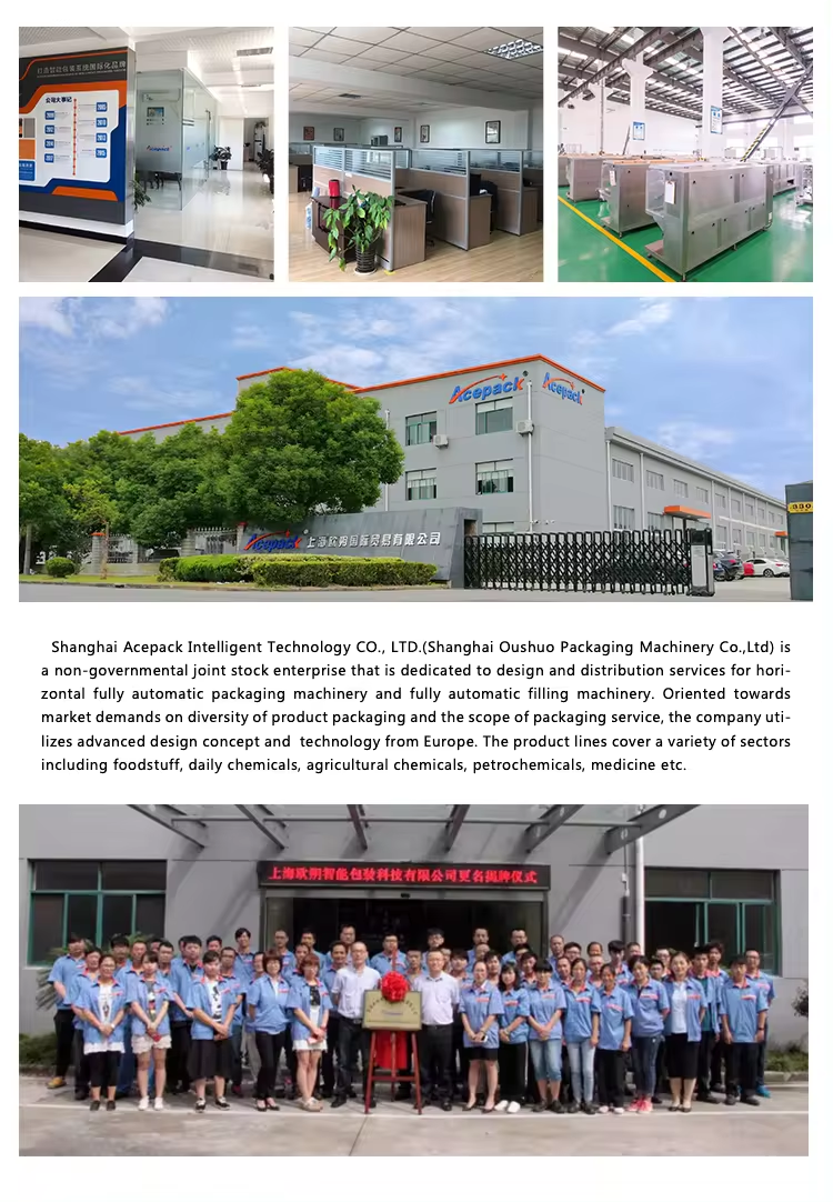 Company Infrastructure and Factory Environment