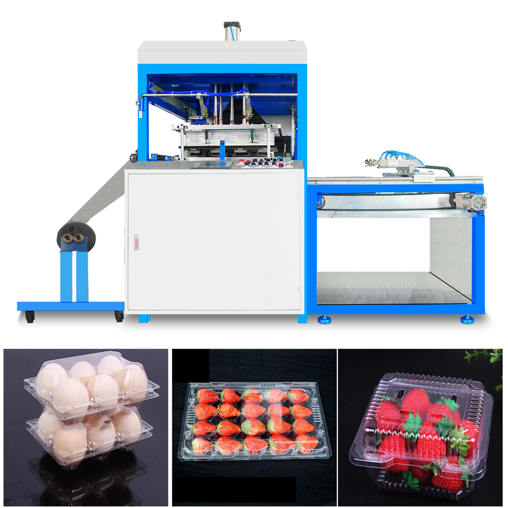 Thermoforming Machine for Making Pet pp Bops Ps Pvc Products Take Away Food Box Supplier Strawberry Tableware