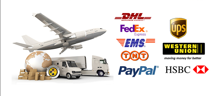 Logistics and Transport