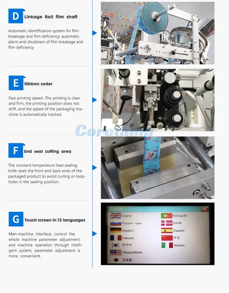 Automatic Spice Powder Sachet Packaging Machine