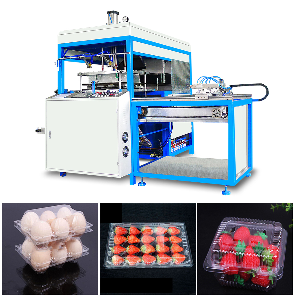Thermoforming Machine for Making Pet pp Bops Ps Pvc Products Take Away Food Box Supplier Strawberry Tableware