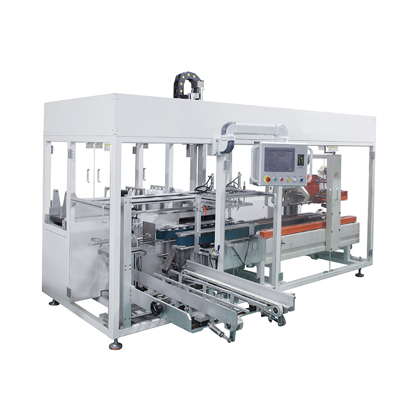 Automatic Boxing Machine Case Packing Machine Production Line for Small Businesses