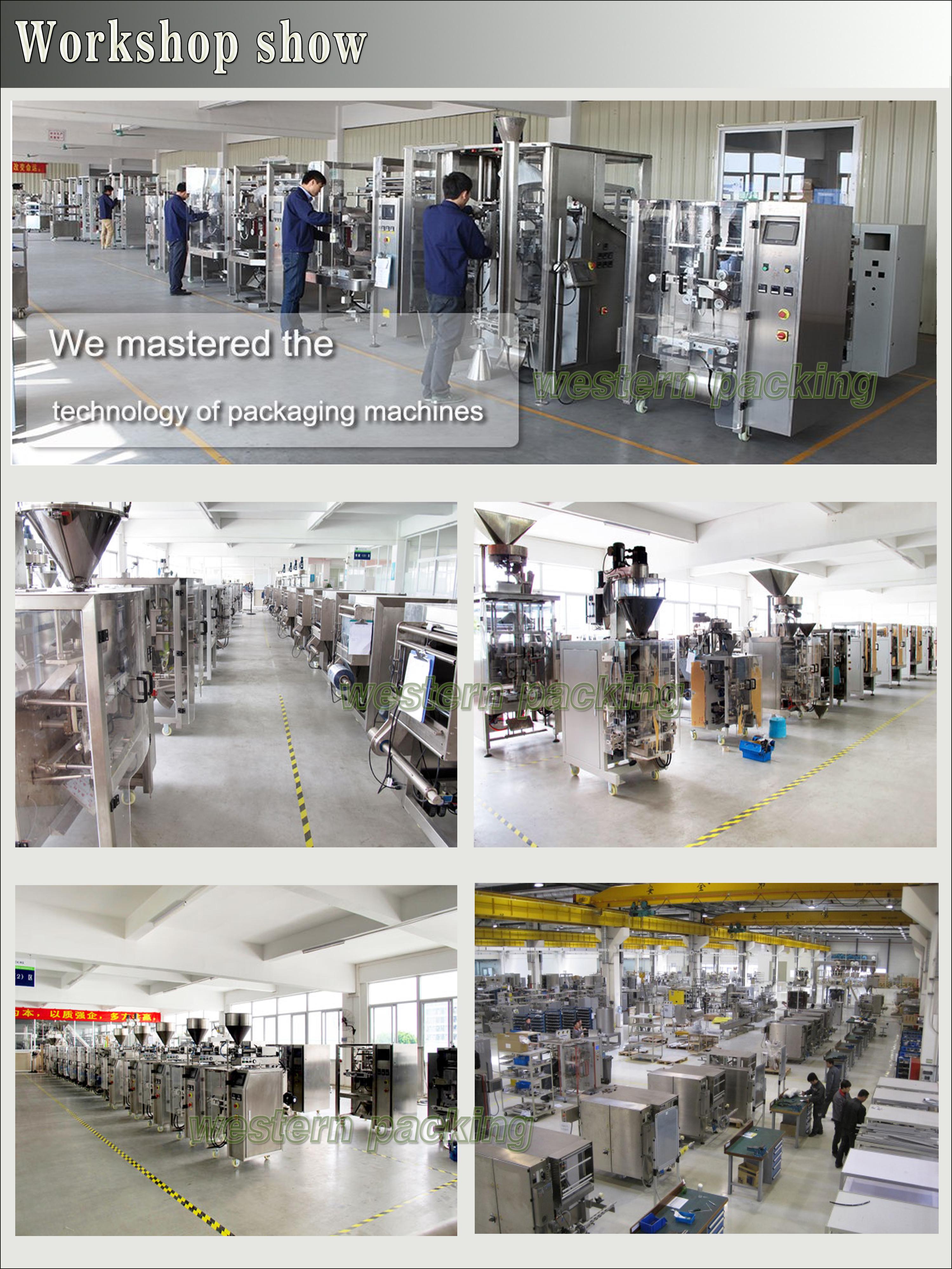 Horizontal Automatic Plastic Film Flow Pack Packing Machine Wrap Packing Machine