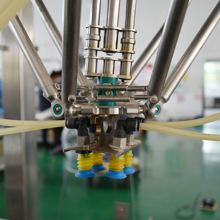 Automatic Whole Packaging Line of Flat Pouch Bag Horizontal Doypack Packing Line