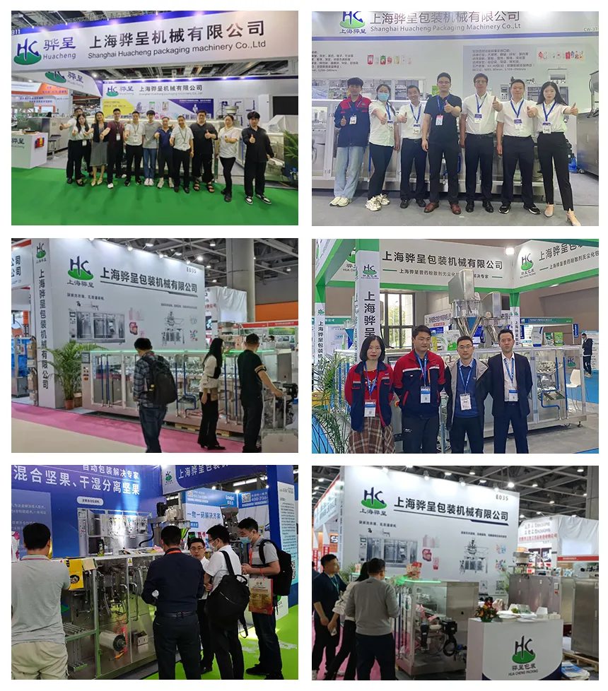 Horizontal Premade Pouch Filling Powder Packaging Food Packing Machine