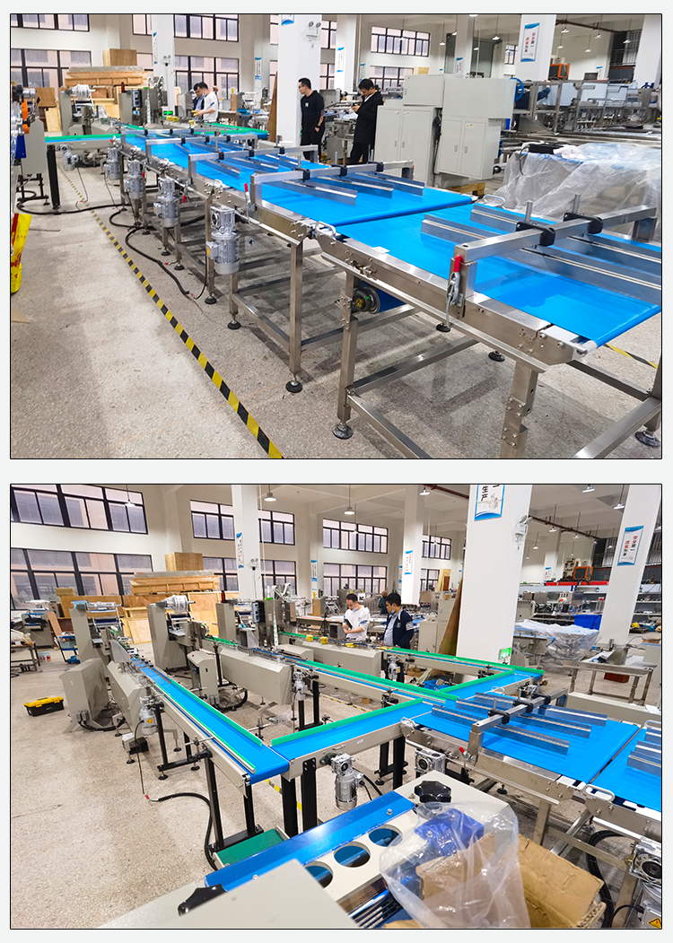 Automatic for Swiss Roll Cake Chocolate Bar Tortilla Bread Wafer Biscuit Packaging Line Plastic Paper Film Wrap Motor Core