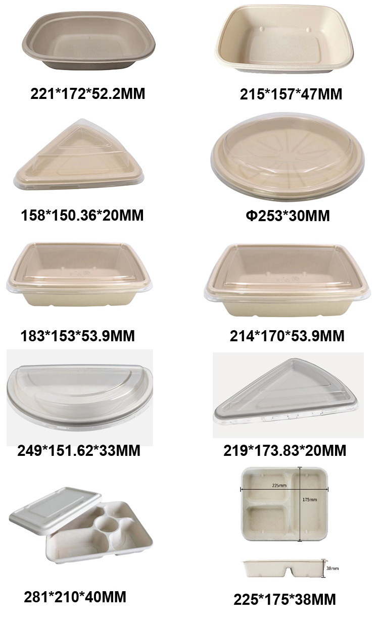 Biodegradable packaging details 2