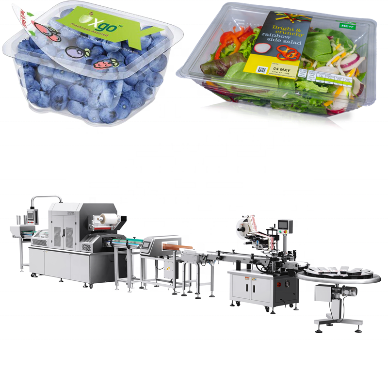 Ruibao BQS-QH2000 Linear Automatic Tray Sealer Line Lettuce Modified Atmosphere Packaging Machine for Vegetables and Fruits