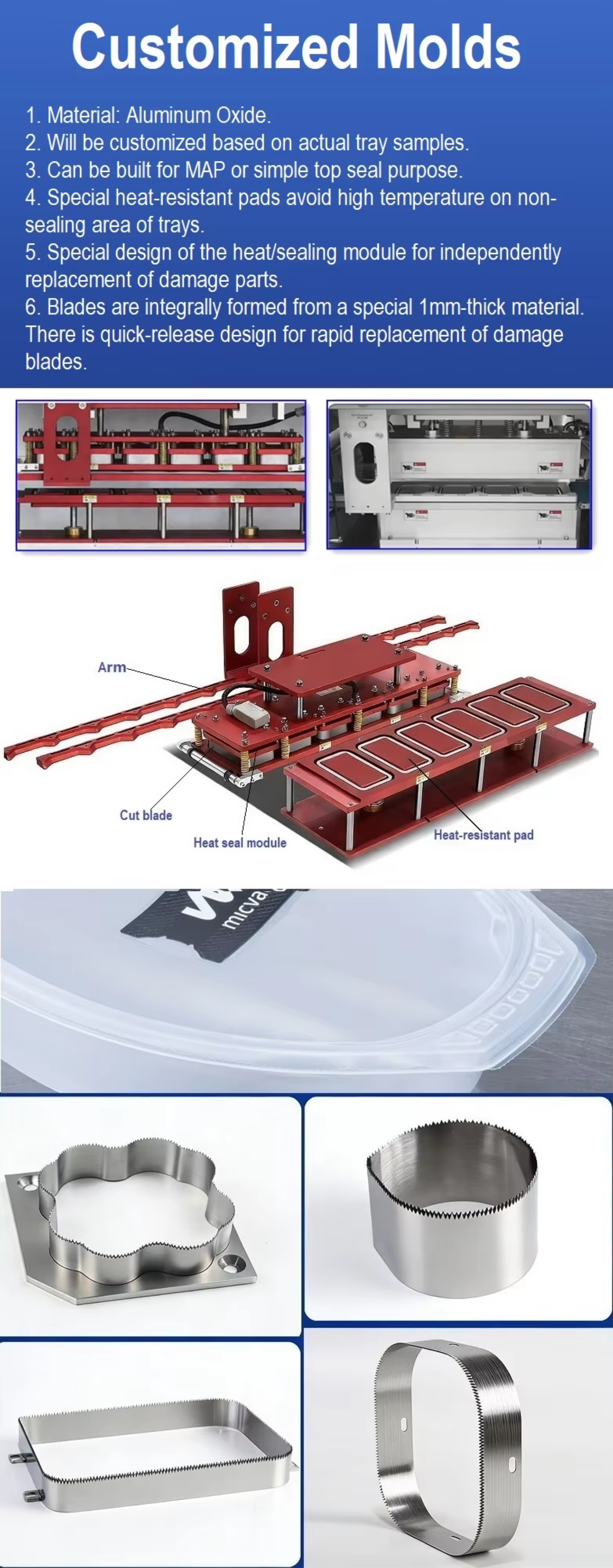 Linear Automatic Tray Sealer Line Lettuce Modified Atmosphere Packaging Machine for Vegetables and Fruits