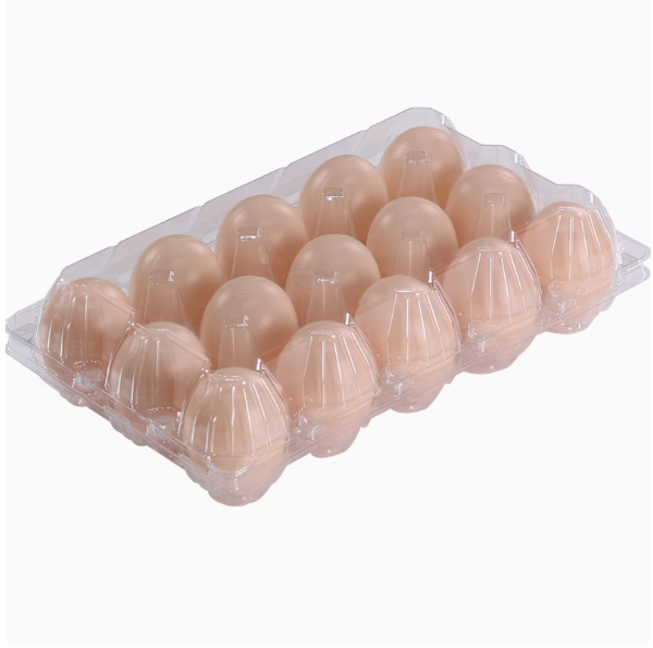 egg tray making machine