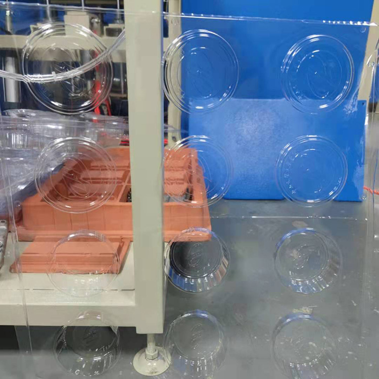 Mould Show 4