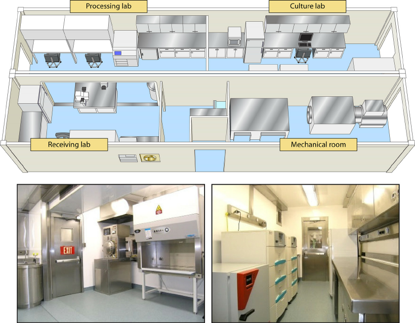 Layout layout specifications