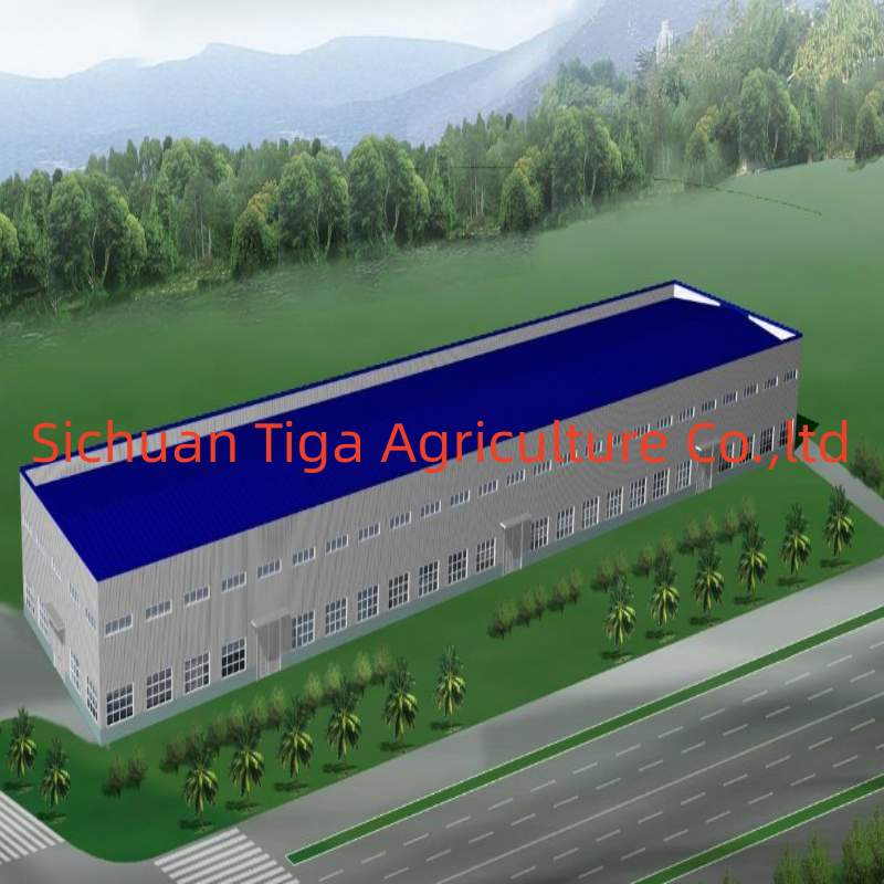 Low Cost China Factory Prefab Workshop Self Storage Metal Building and Construction Prefab Office Building