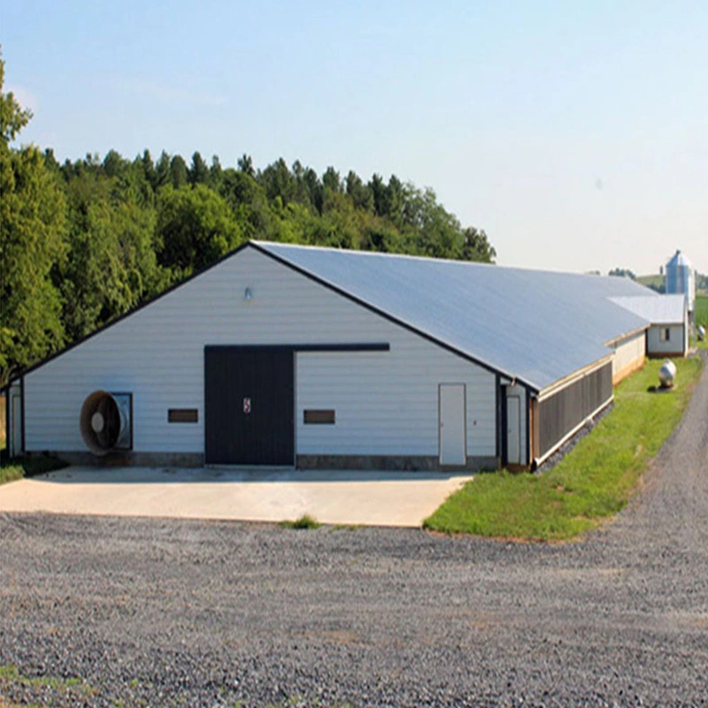Prefabricated/ Prefab Light Steel Frame Construction Structure Modular Design Frame Chicken Poultry Farm House