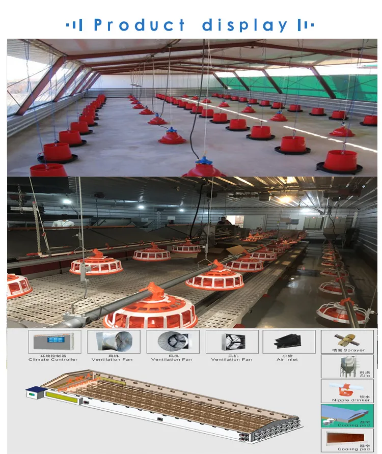 Modular Design Frame Chicken Poultry Farm House Details