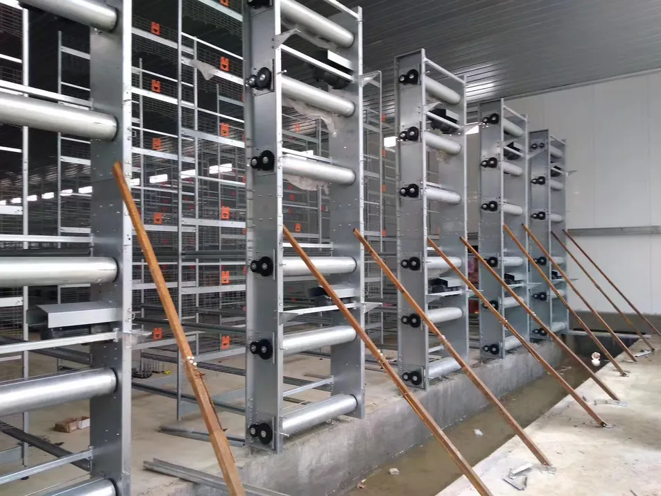 Egg Collection Automation