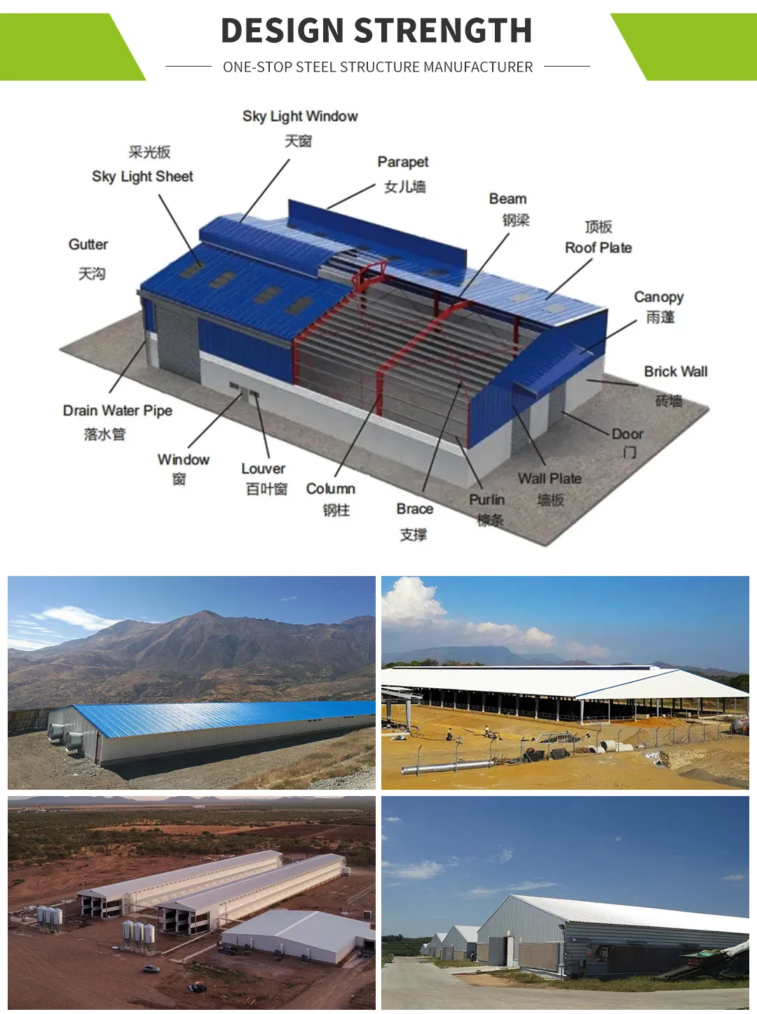 Steel Structure Columns and Beams Fabrication Process