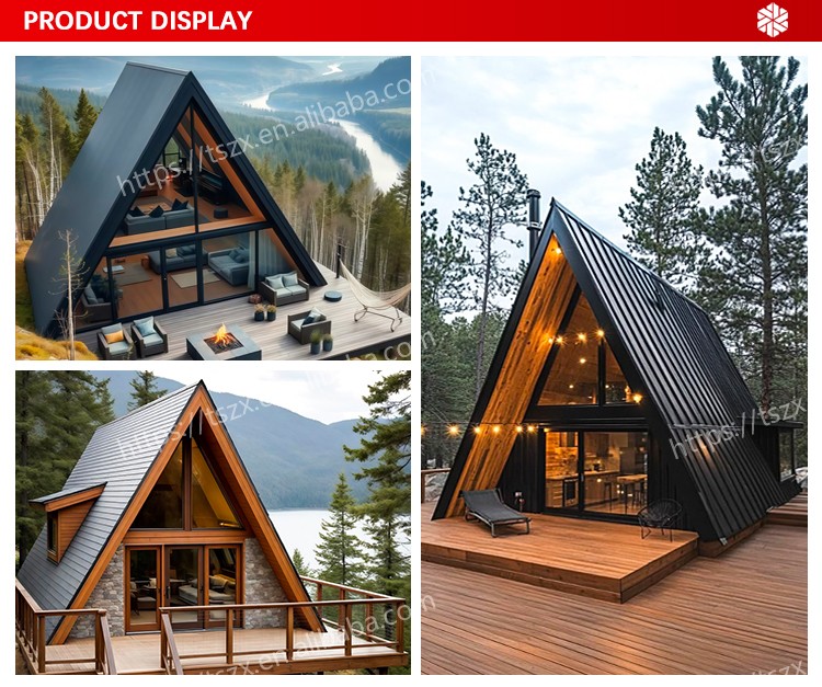 Triangle House Interior Design