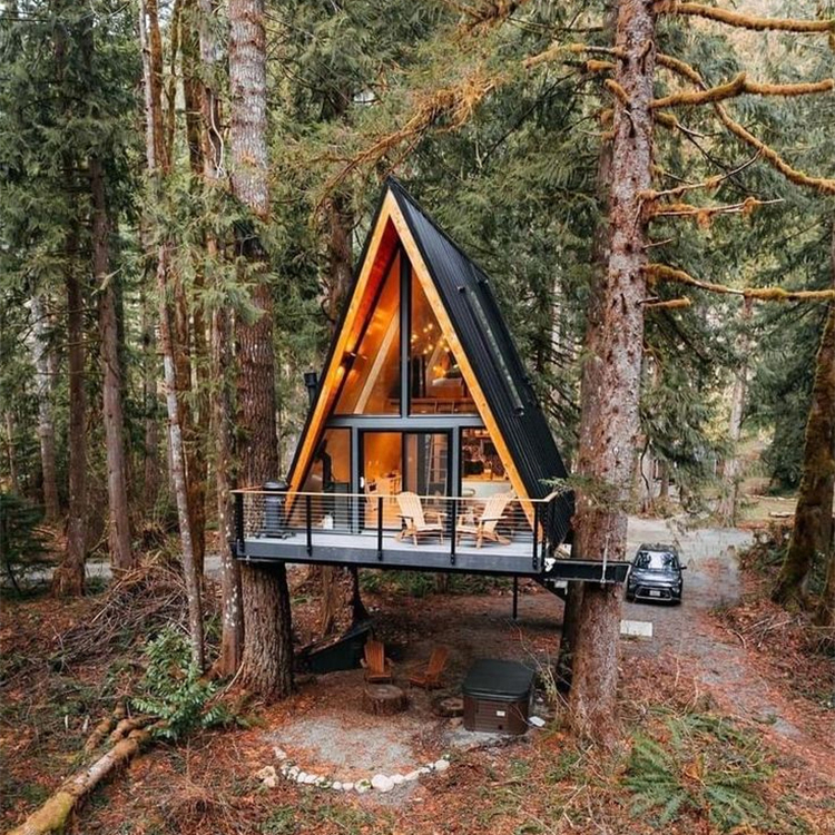 Triangle Shape Structure Small Cabin Tiny House Triangle House a Frame House for Living
