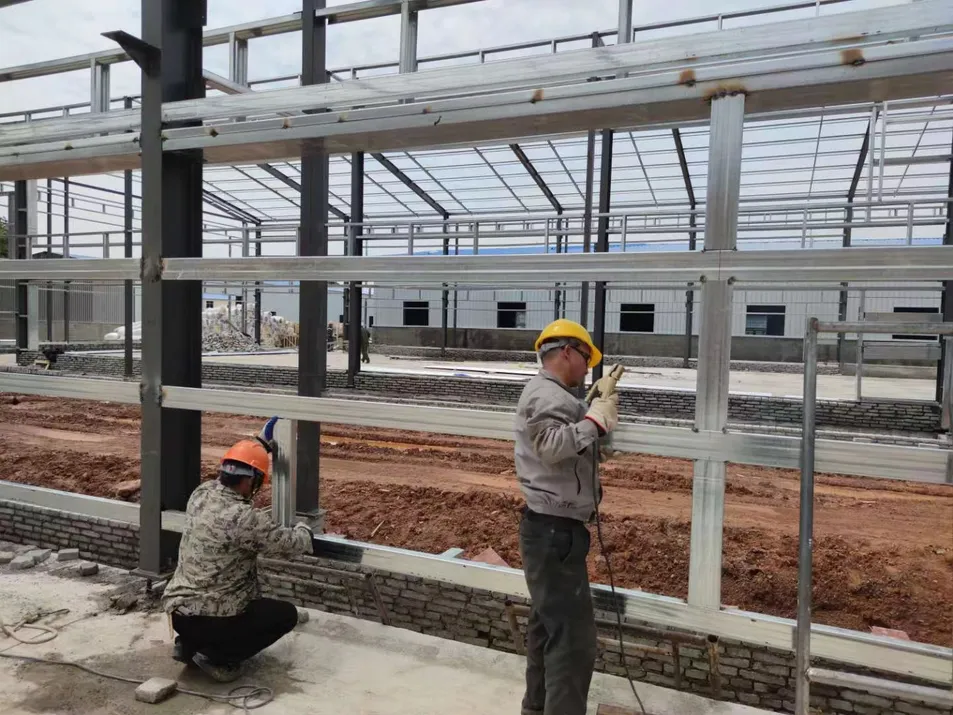 Poultry House Framing Interior