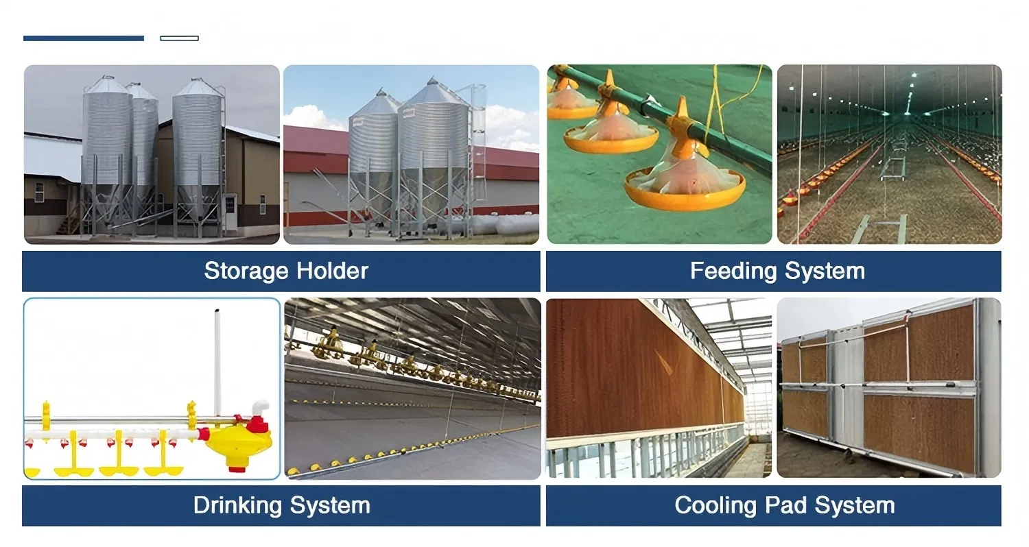 Steel Framing Construction