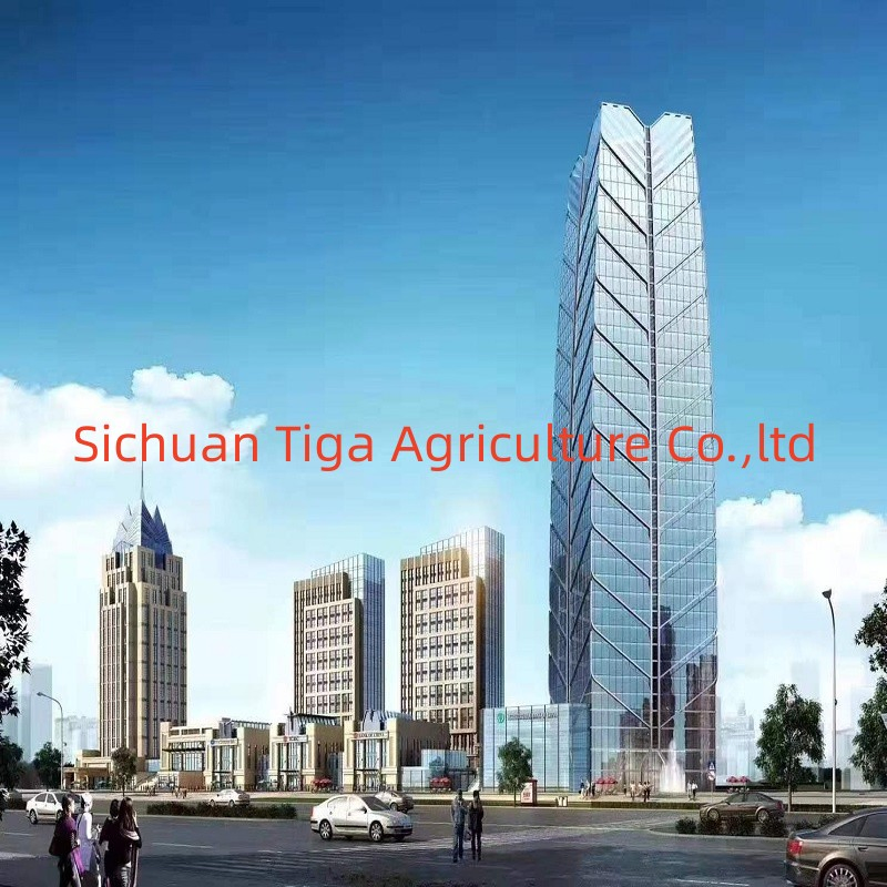 Low Cost China Factory Prefab Workshop Self Storage Metal Building and Construction Prefab Office Building