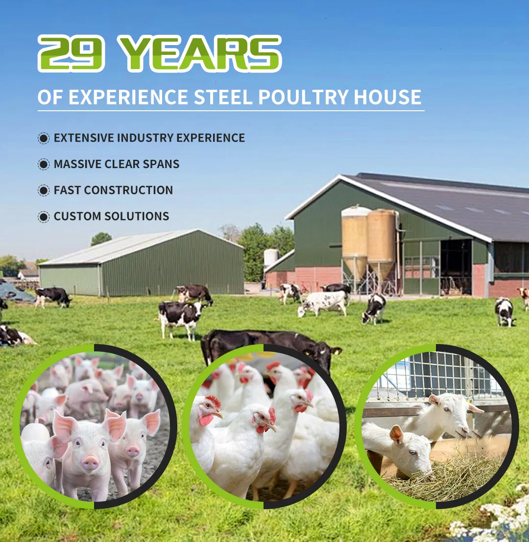 Steel Structure Poultry Farm Building Modular Prefabricated Chicken House