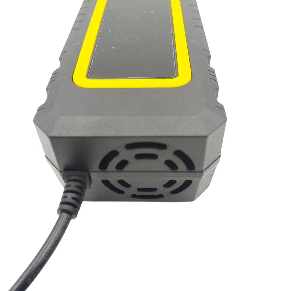 Battery Charger Display 4