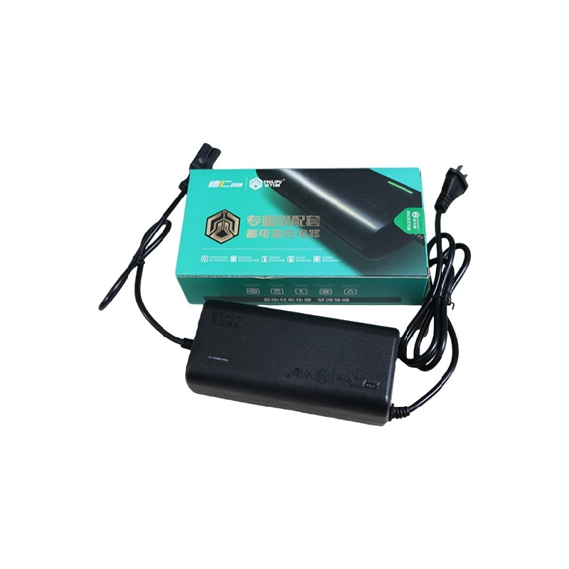 E-Bike Smart Micro-Mobility Tool Portable Liion Battery Isolated 60A Lithium Fast Universal Charger