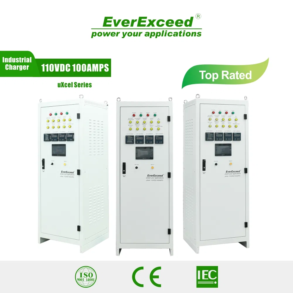 Electric Forklift Charger EV Motorcycle/Agv/Golf Cart/Tractor/Truck/Lifter/Sightseeing Car Vehicle Charging Station