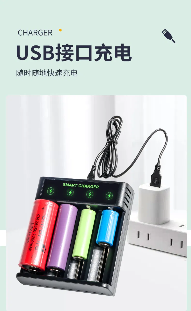 Smart Charger 10