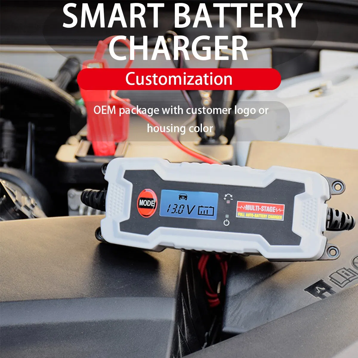 Te4-0242 LCD Display Auto Battery Charger