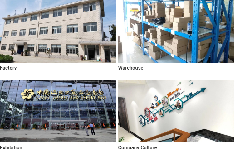 Forklift Spare Parts Battery Charger 1121-520004-0A Esch24V5a for Electric Mini Pallet/Stacker