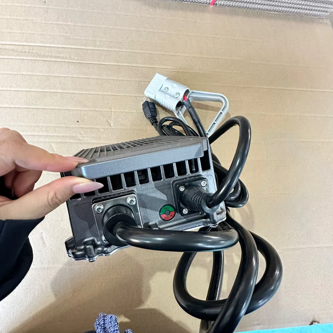 Battery Charger Photo 6