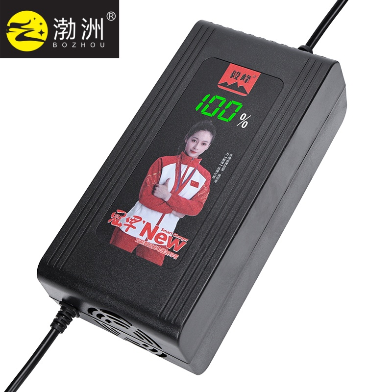 60V9a 54.6V Certificated Golf Cart Marine Battery Charger