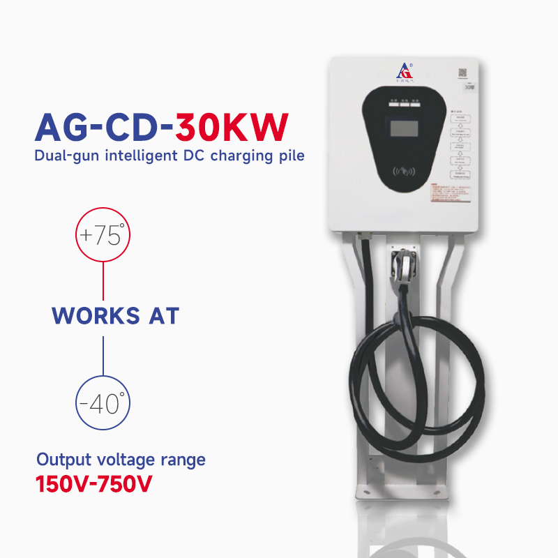 Smart 30kw Bidirectional DC Fast Battery Storage Car Station Electric Vehicle Charger