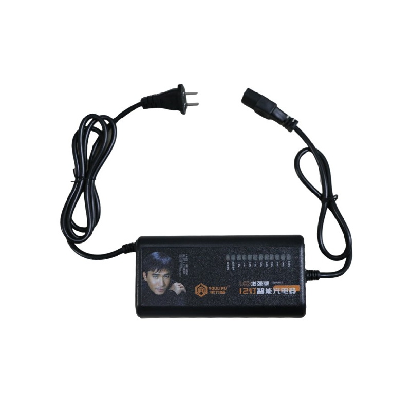 E-Bike Smart Micro-Mobility Tool Portable Liion Battery Isolated 60A Lithium Fast Universal Charger