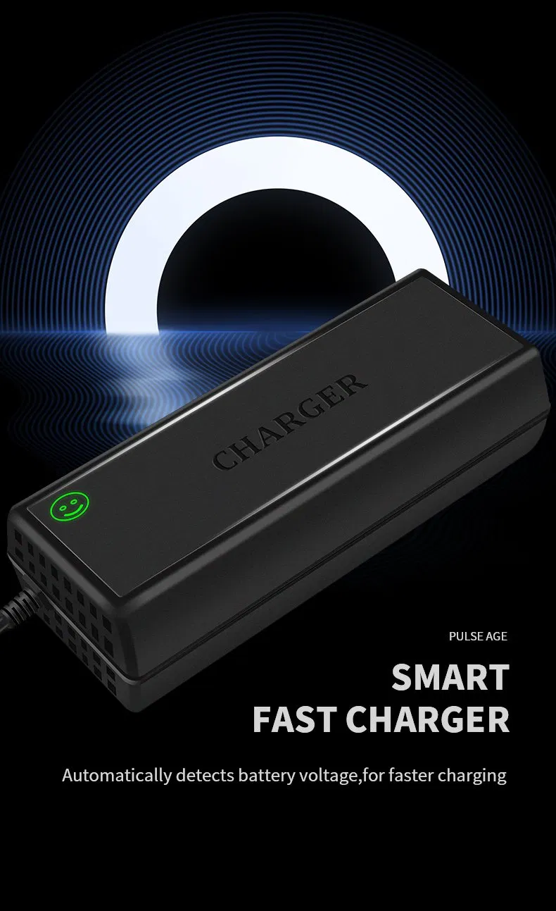 Special Charger for Lithium-Ion Batteries