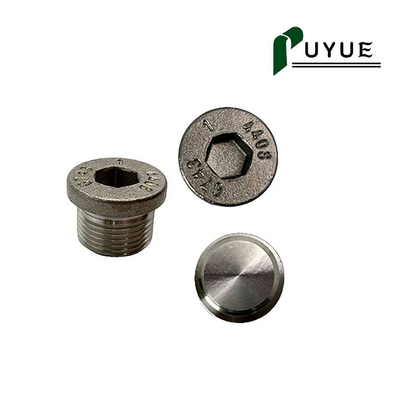 DIN908 Hex Socket Screw Plug for Hydraulic and Industrial Equipment