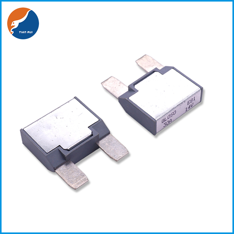 Tipo de Plugue Fusível de Redefinição Manual Disjuntor 12V 24V Disjuntor de Lâmina de Redefinição Automática Disjuntor Miniatura para Carro Disjuntor Automotivo Pressione para Redefinir
