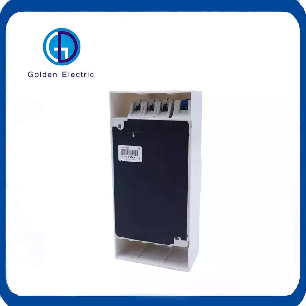Disjuntor de Vazamento Série Pg Moldado 2p 4p 230V 400V 5-60A Disjuntor de Corrente Residual Ajustável ELCB