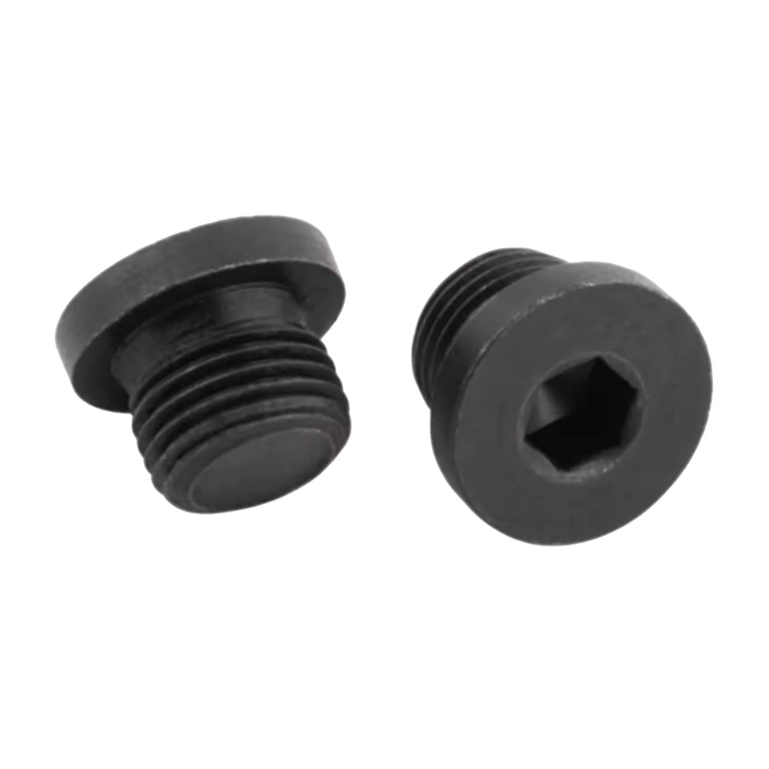 DIN 908 Plugue de Óleo com Soquete Hexagonal em Aço Inoxidável, Plugue de Vedação Rosqueado, Plugue de Tubo Hidráulico para Uso Industrial