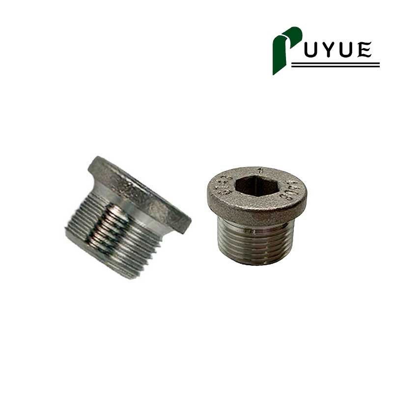 DIN908 Hex Socket Screw Plug for Hydraulic and Industrial Equipment