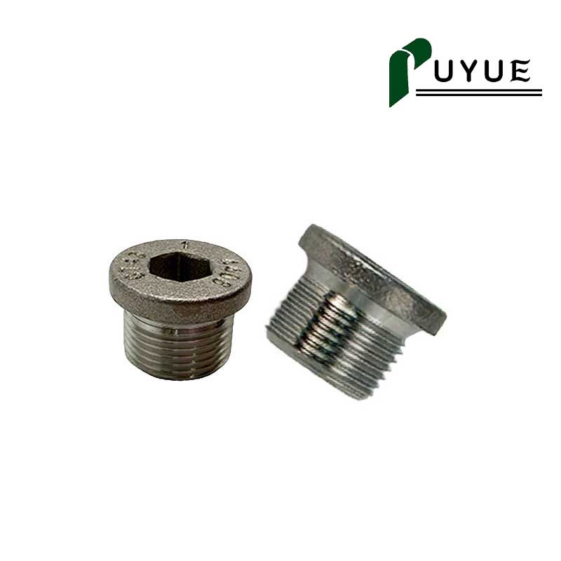 DIN908 Hex Socket Screw Plug for Hydraulic and Industrial Equipment