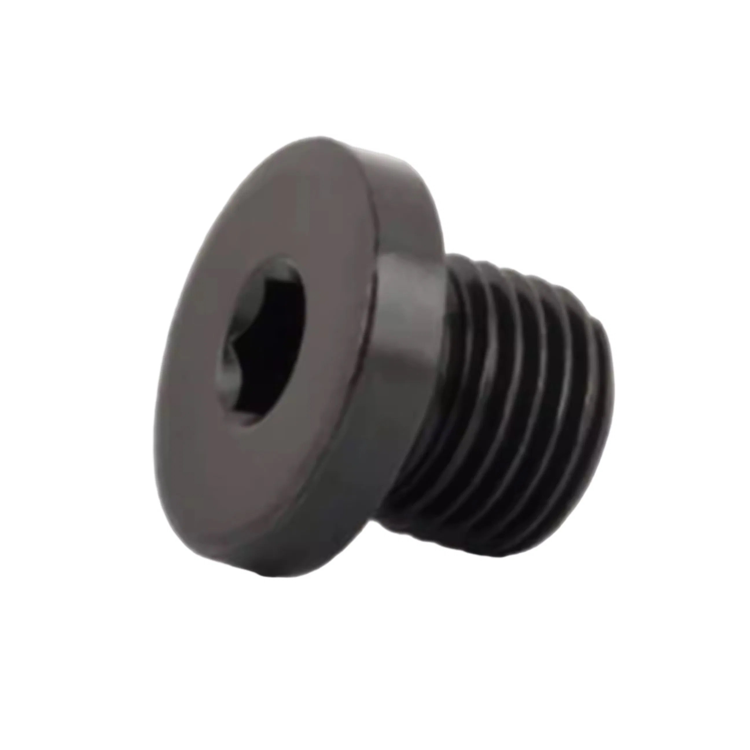 DIN 908 Plugue de Óleo com Soquete Hexagonal em Aço Inoxidável, Plugue de Vedação Rosqueado, Plugue de Tubo Hidráulico para Uso Industrial
