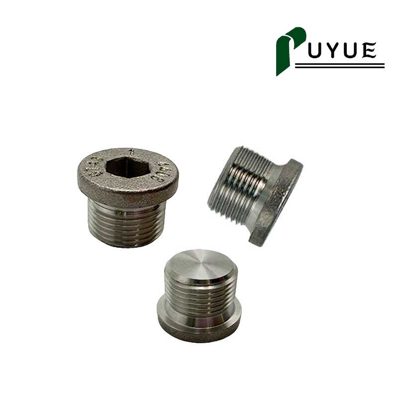 DIN908 Hex Socket Screw Plug for Hydraulic and Industrial Equipment
