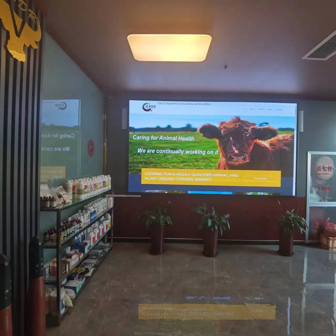 Nutrition Veterinary Drug Grdr Hepatoprotective Oral Liquid