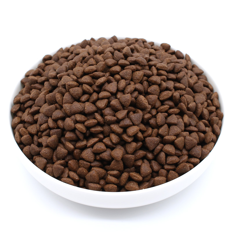 Kitten Food Showcase 1